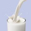 0612：会喝牛奶也能让你瘦。