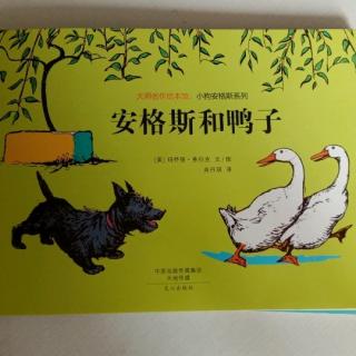 百子园三班杨皓宸《安格斯和鸭子》