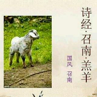 诗经 召南 羔羊
