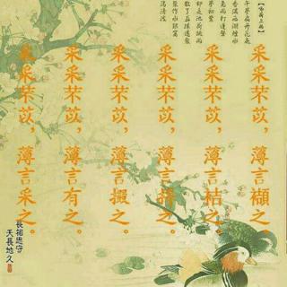 诗经 周南 芣苢