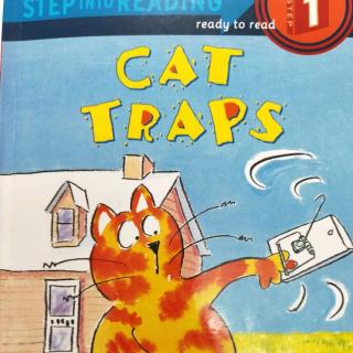 《cat traps》part2 rayon