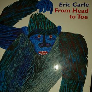 ericcarlefromheadtotoe