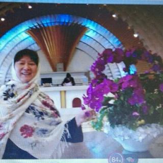 配乐诗歌朗诵《致青春》