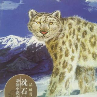 雪豹悲歌