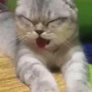 浪人琵琶