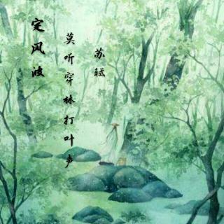 定风波·莫听穿林打叶声