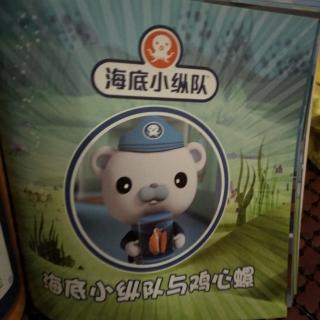 海底小纵队与鸡心螺20180710