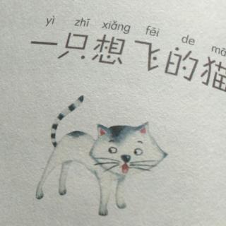 一只想飞的猫