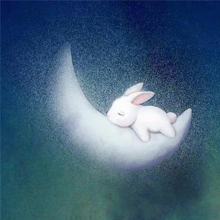 用心说一只想奔上月亮的小兔子