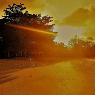 故都的秋 郁达夫 薇薇朗读