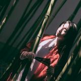 花粥--盗将行