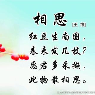 【古诗与童诗 古诗:相思(唐/王维 红豆生南国,春来发