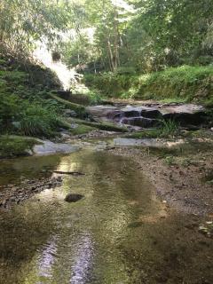 张晓风《春之怀古》