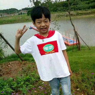 铺满金色巴掌的水泥道