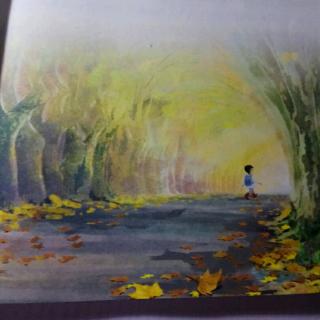 铺满金色巴掌的水泥道