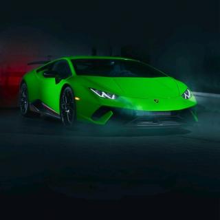 什么动物跑的最快