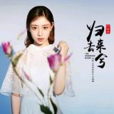 归去来兮 - 叶炫清(网剧《双世宠妃2》片尾曲)