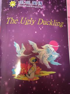 theuglyduckling第2课