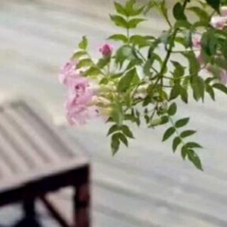 余生愿你安好