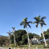 厦门,后会无期