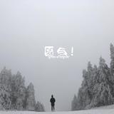 愿与 - 麻园诗人