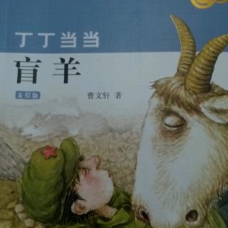 丁丁当当盲羊曹文轩6