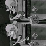 🐬我曾——隔壁老樊