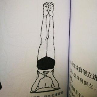 《艾扬格瑜伽瑜伽入门教程》48.支撑肩倒立(salamba