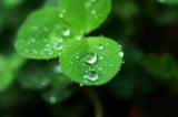 送上一首钢琴和雨声轻音乐 - 舒缓放松的美妙浪漫纯音乐