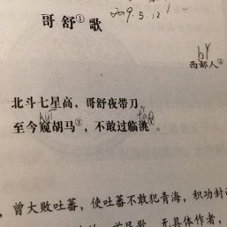 哥舒歌唐西鄙人