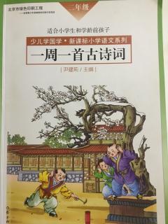 江村夜泊回乡偶书其一江村即事