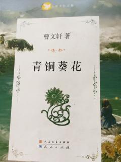 269曹文轩《青铜葵花》第四章:芦花鞋(6)