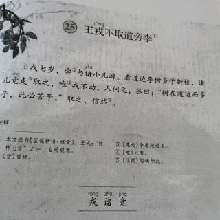 25.王戎不取道旁李