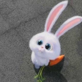 介绍:                              兔小灰和兔小白都是白兔子