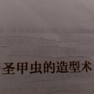 圣甲虫的造型术