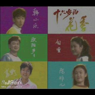 425-1990年《十六岁的花季》片尾曲-十六岁的秘密