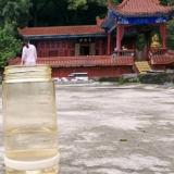 旅行日记 彭怀香 B区 2019-10-29晚上