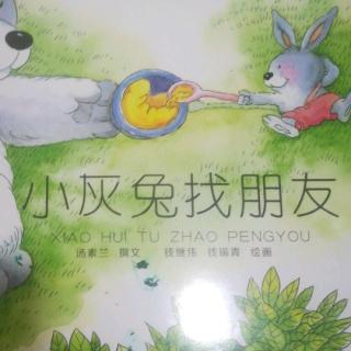 小灰兔找朋友