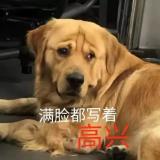 寒鸦少年