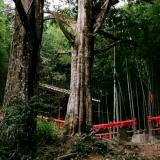 既然烹定了计划.就一岂要实现