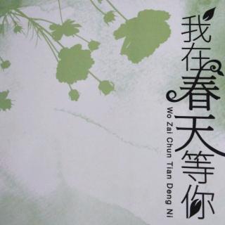我在春天等你第十七章