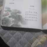 读语文