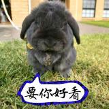 句子