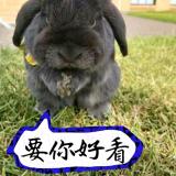 句子
