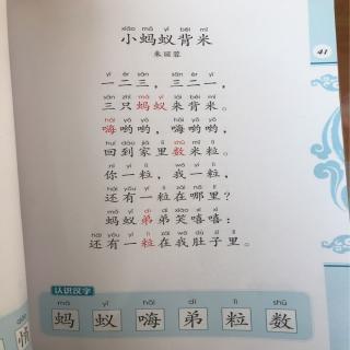 识字教案怎么写_两导两练识字6的质疑问难怎样写_一年级语文识字3看图片写一段话