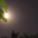 光明正大地追求利润