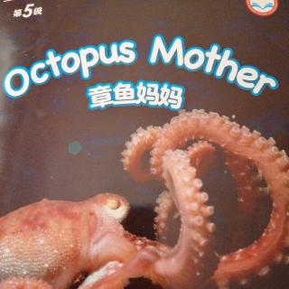 韩一鸣阅读作业9(octopus mother)