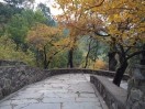 关山月