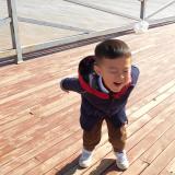 唱歌的狼