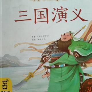 (三国演义)